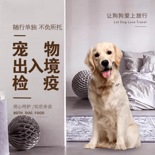 红桥区宠物托运到哥伦比亚猫狗宠物入境规定和