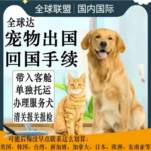 红桥区宠物托运到柬埔寨宠物入境规定和要求